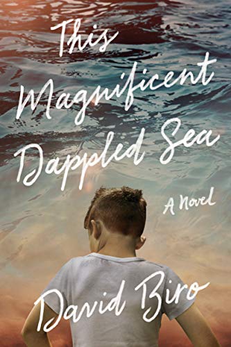 Book cover of The Magnificent Dappled Sea by David Biro