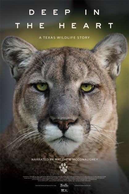 Movie poster for Deep in the Heart film. Poster shows the face of a mountain lion on a green background.