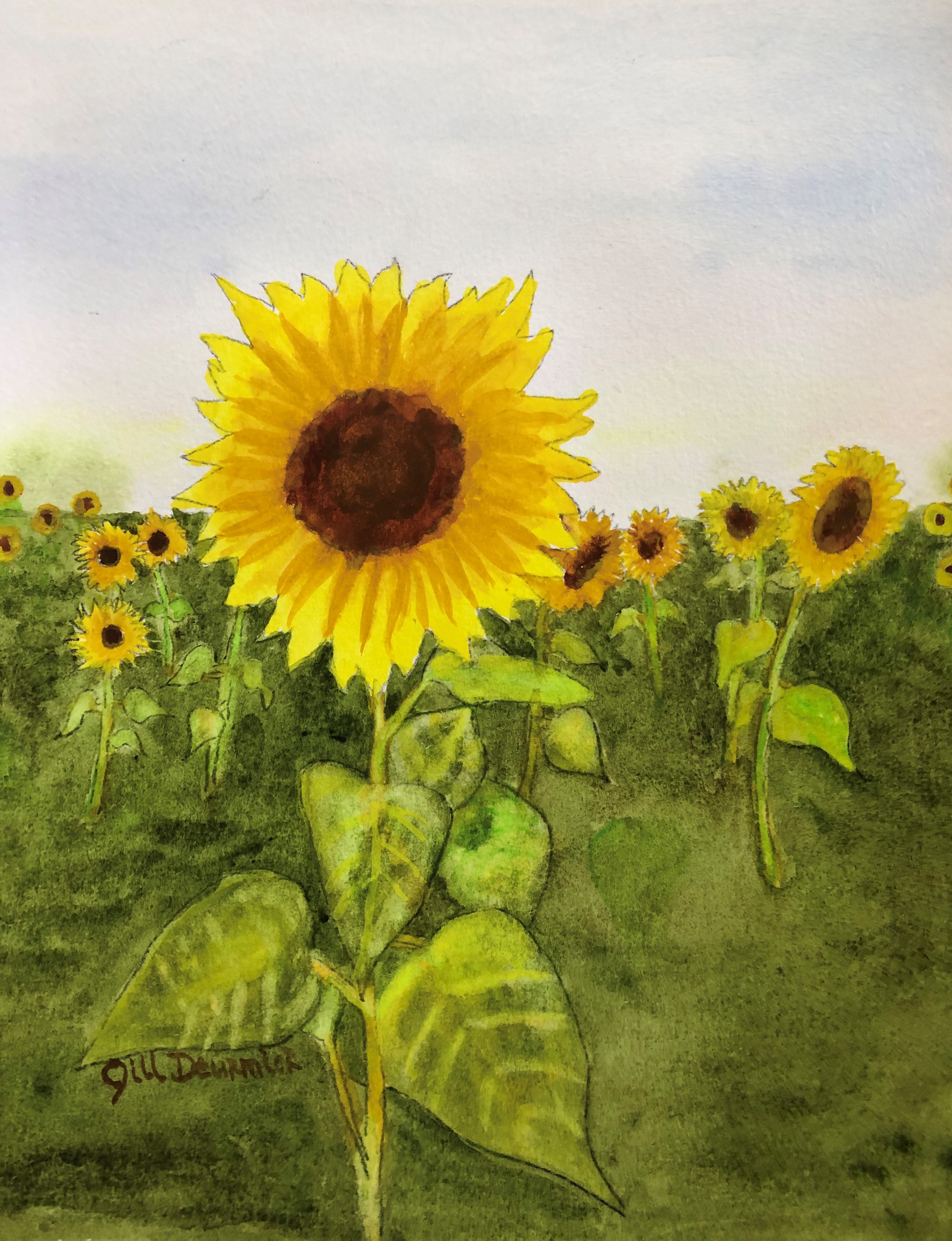Watercolor painting of sunflowers