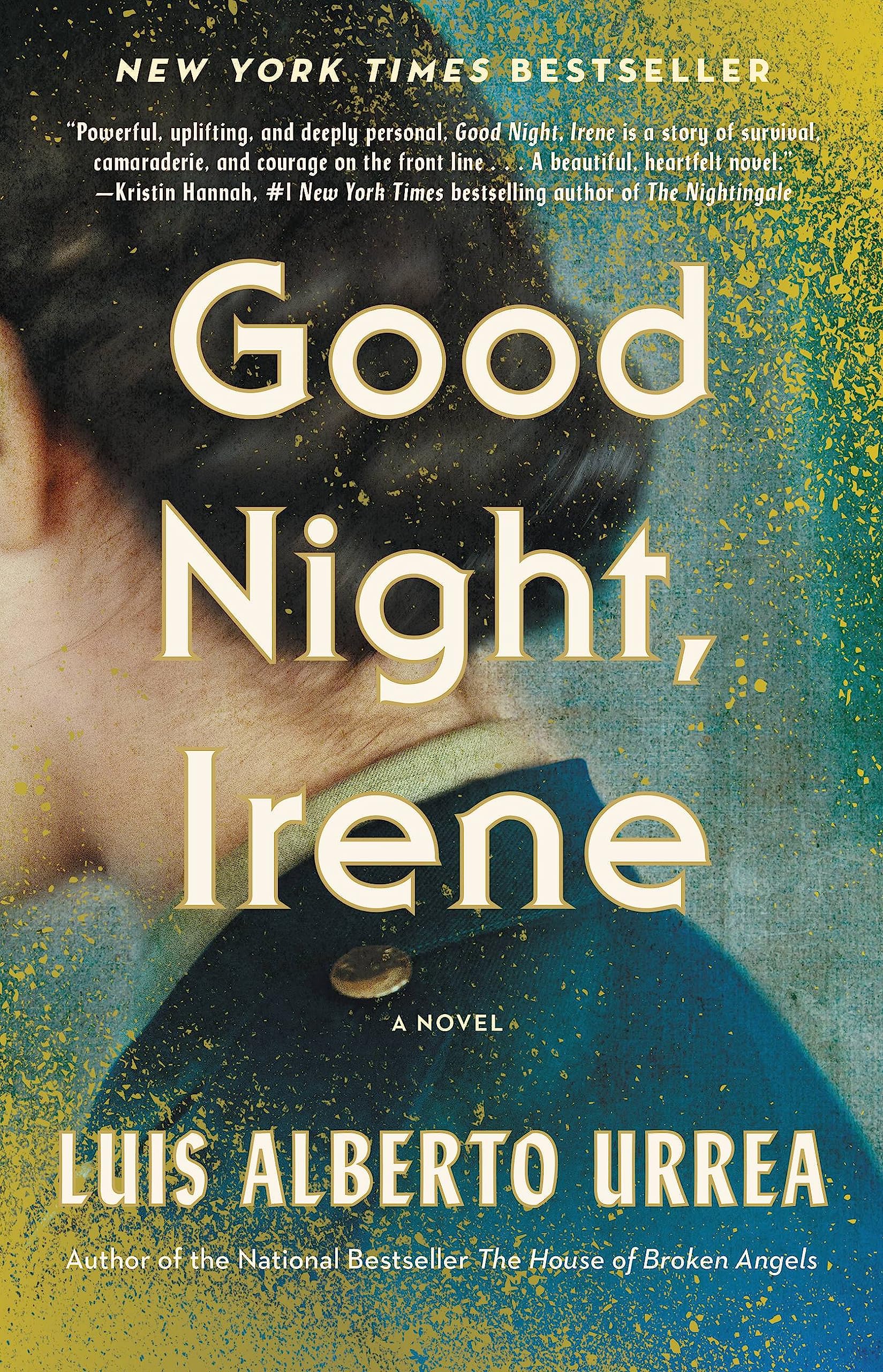 An image of Good Night, Irene book cover