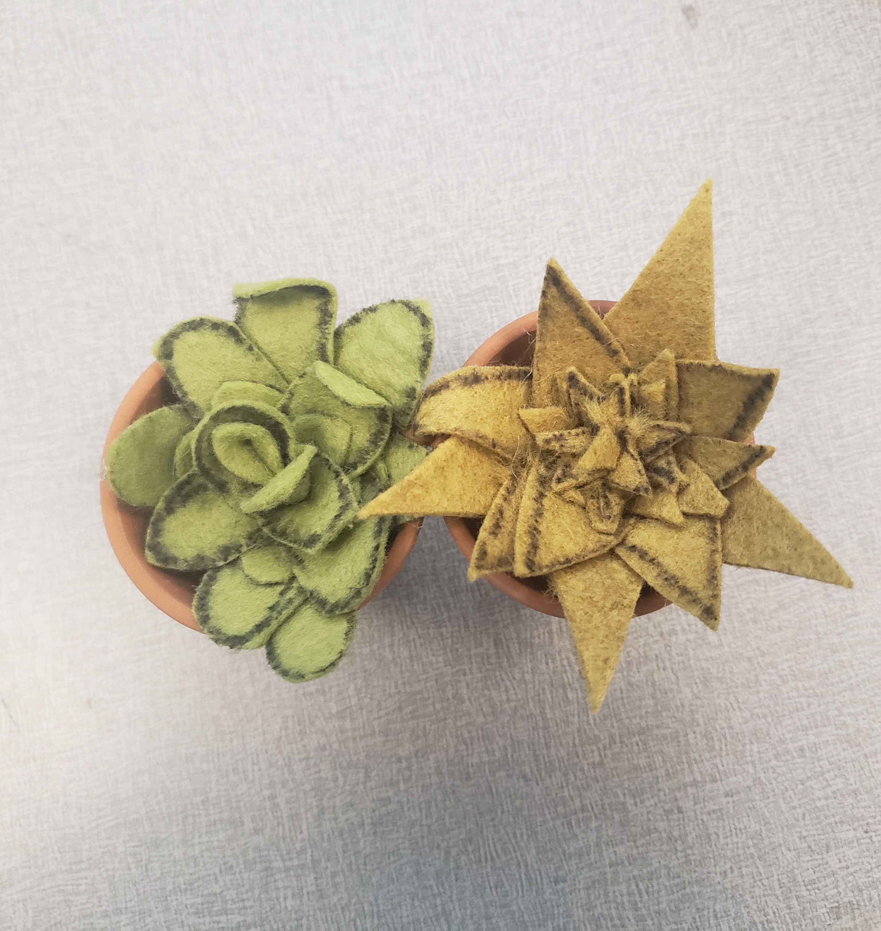 two succulents made from green felt in small terra cotta pots