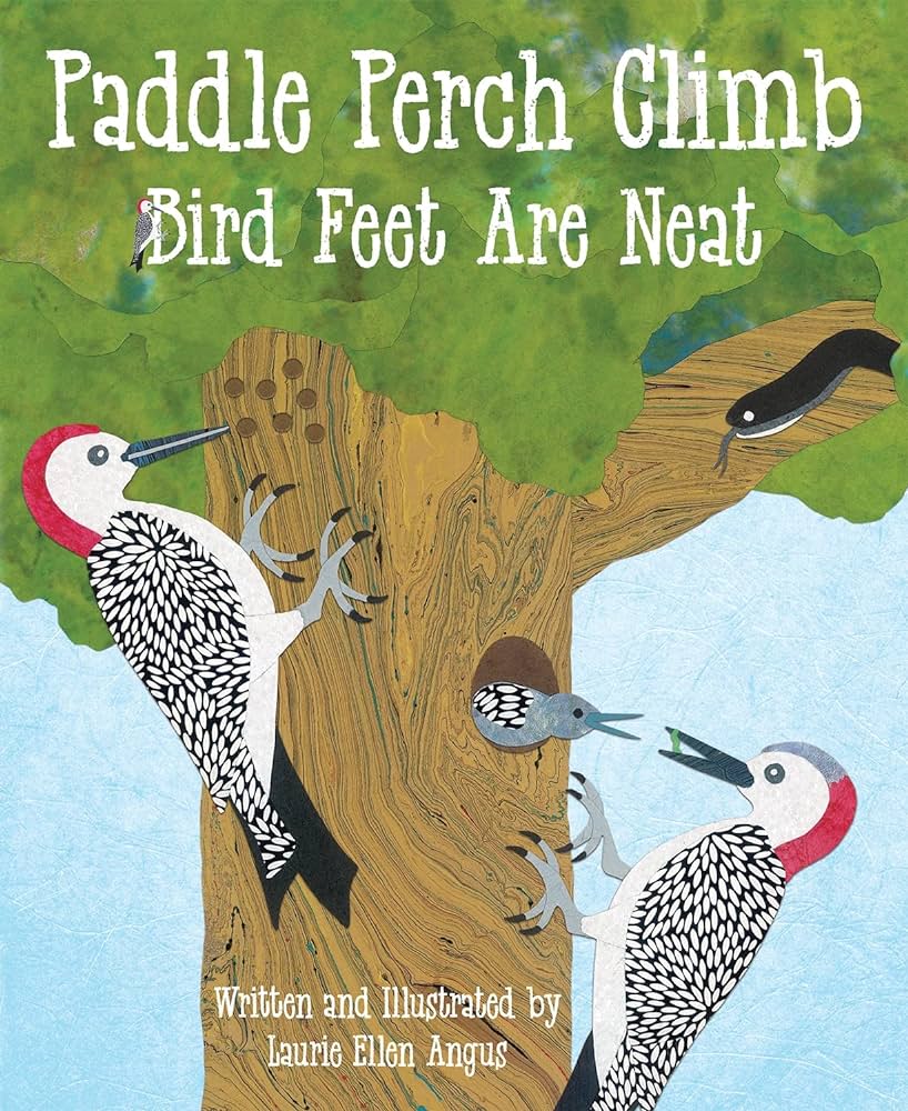 cover of paddle perch climb book