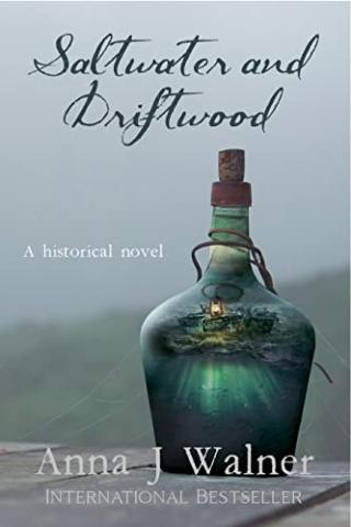 Book cover of Saltwater and Driftwood by Anna J. Walner