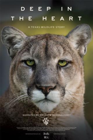 Movie poster for Deep in the Heart film. Poster shows the face of a mountain lion on a green background.