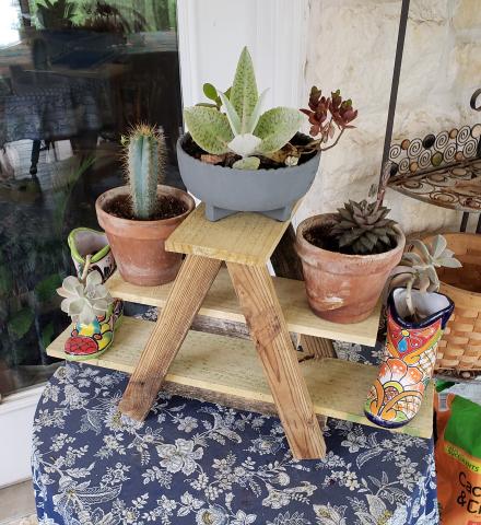 Wooden plant stand with plants on a tabletop