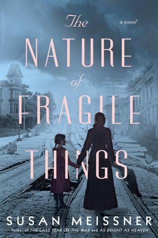 Book cover of The Nature of Fragile Things by Susan Meissner