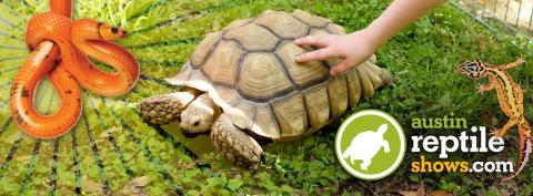 austin reptile shows promo header with tortoise and snake
