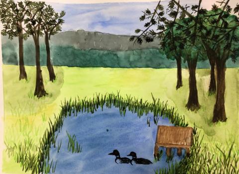 Watercolor painting of ducks in a pond surrounded by grass and trees