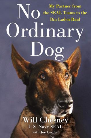Book cover of No Ordinary Dog by Will Chesney