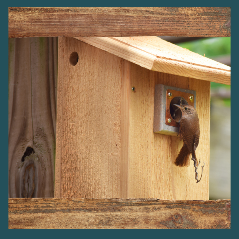 Wooden bird house