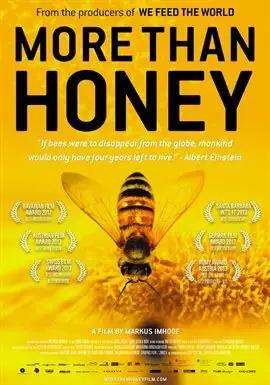 Cover of More than Honey