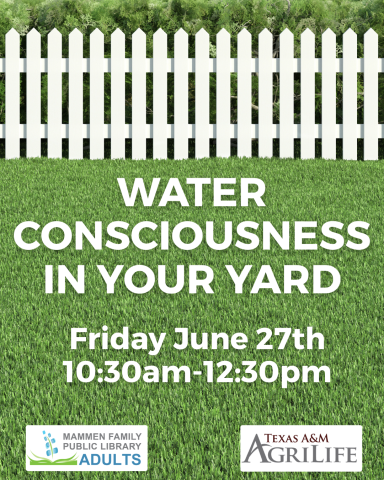 Water in your yard