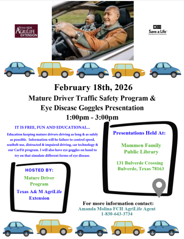 Mature Drivers Flyer