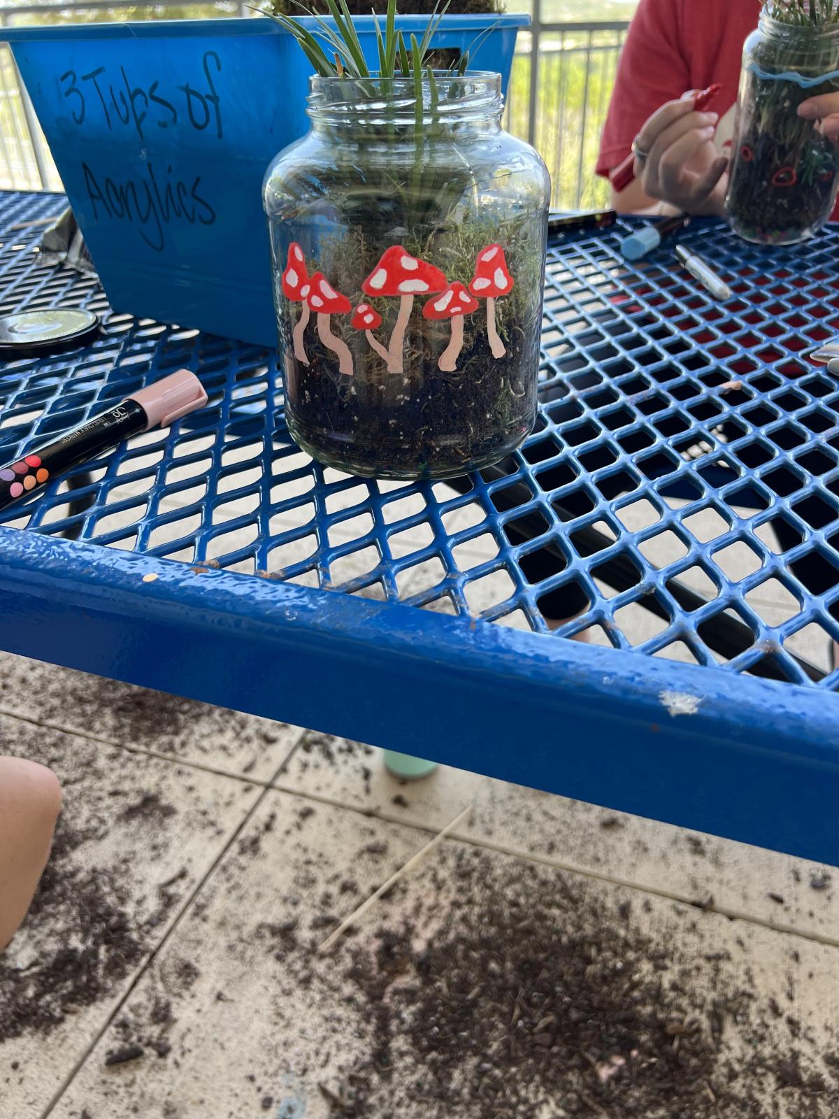 A photo of a terrarium